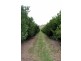 Mundubbera QLD 4626