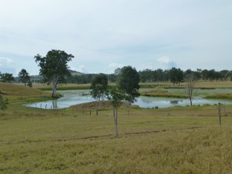403 ANYARRO ROAD, Kapaldo QLD 4630