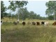 403 ANYARRO ROAD, Kapaldo QLD 4630