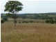 403 ANYARRO ROAD, Kapaldo QLD 4630