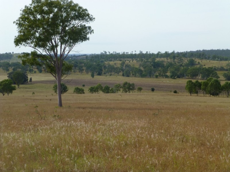 403 ANYARRO ROAD, Kapaldo QLD 4630