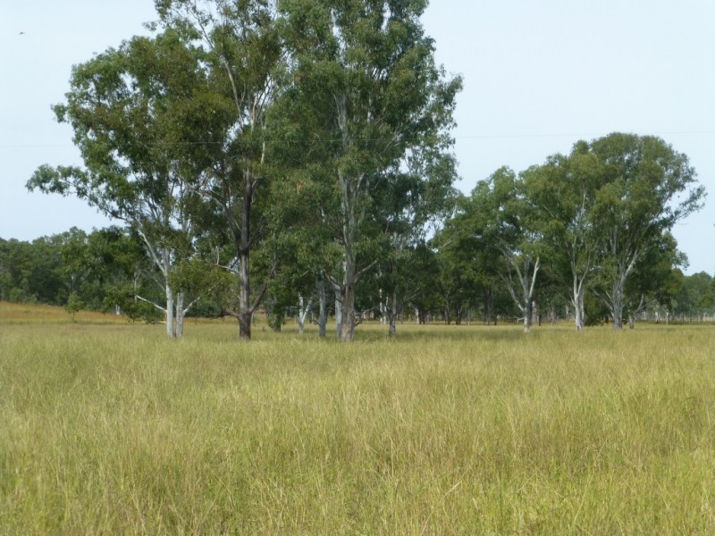 403 ANYARRO ROAD, Kapaldo QLD 4630