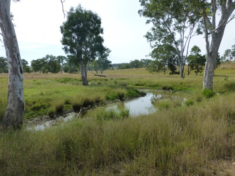 403 ANYARRO ROAD, Kapaldo QLD 4630