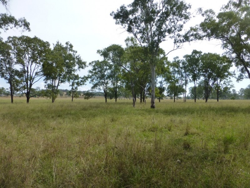 403 ANYARRO ROAD, Kapaldo QLD 4630