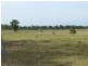 403 ANYARRO ROAD, Kapaldo QLD 4630