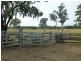 403 ANYARRO ROAD, Kapaldo QLD 4630