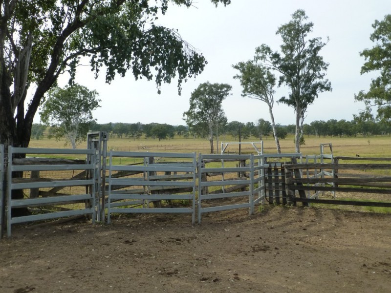 403 ANYARRO ROAD, Kapaldo QLD 4630