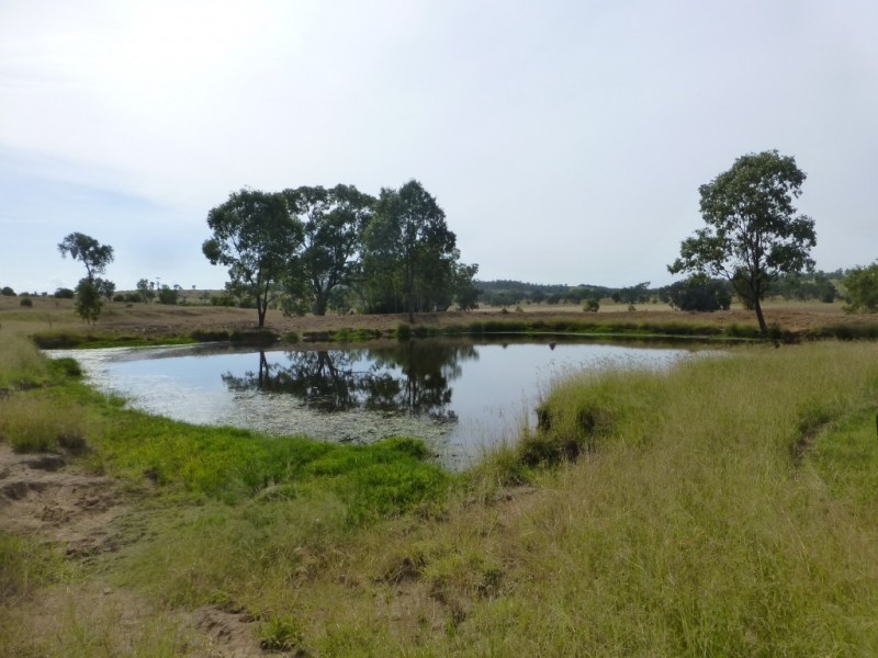 403 ANYARRO ROAD, Kapaldo QLD 4630