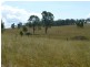 403 ANYARRO ROAD, Kapaldo QLD 4630
