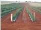 Doolbi QLD 4660