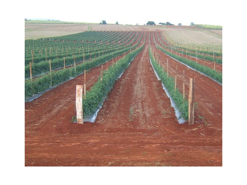Doolbi QLD 4660