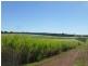 Doolbi QLD 4660
