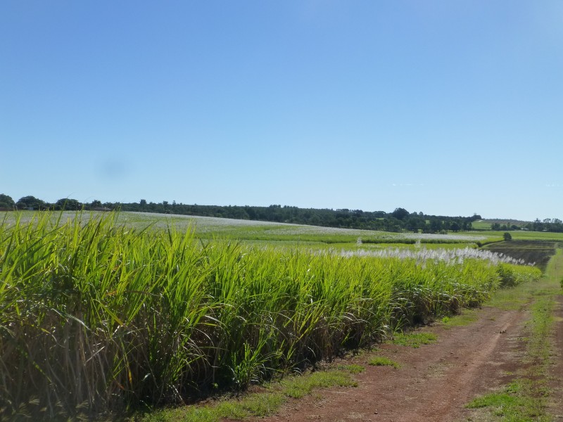 Doolbi QLD 4660