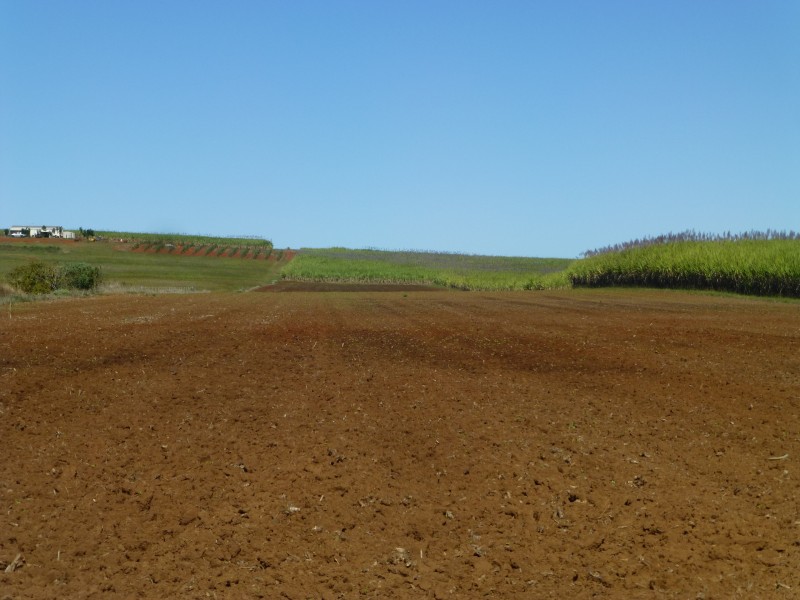 Doolbi QLD 4660