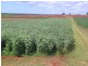Doolbi QLD 4660