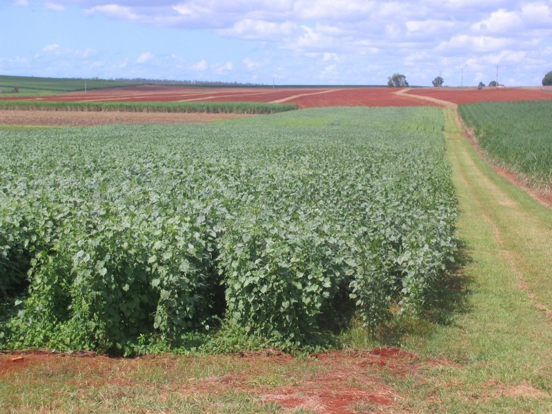 Doolbi QLD 4660