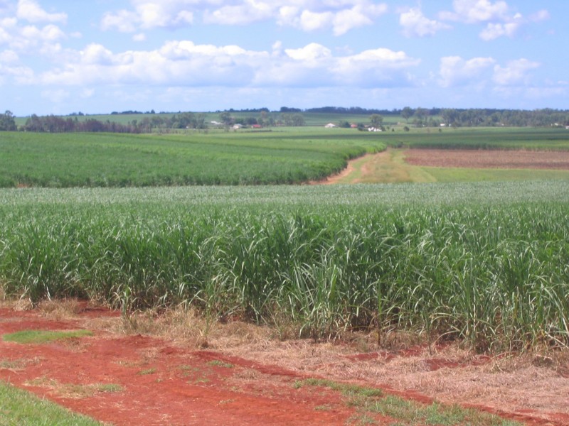 Doolbi QLD 4660