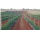 Doolbi QLD 4660
