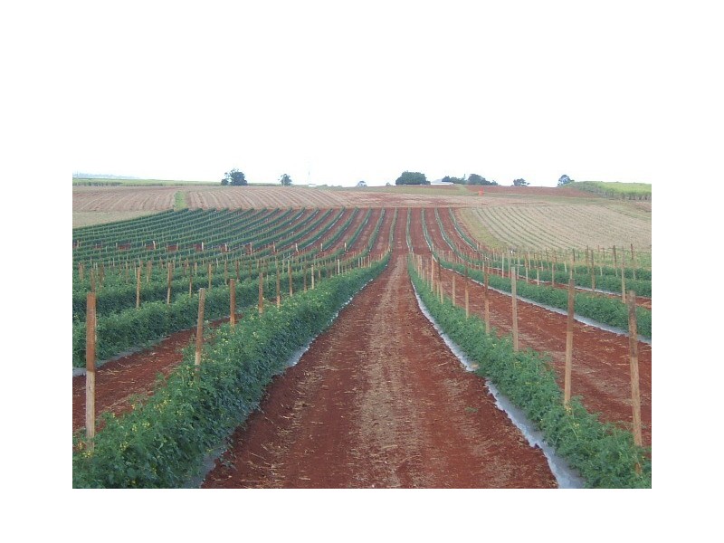 Doolbi QLD 4660