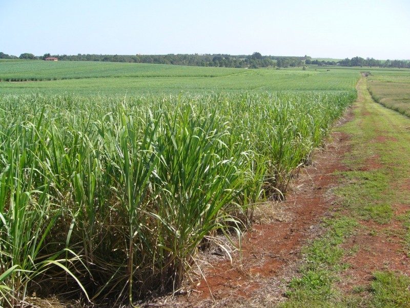 Doolbi QLD 4660