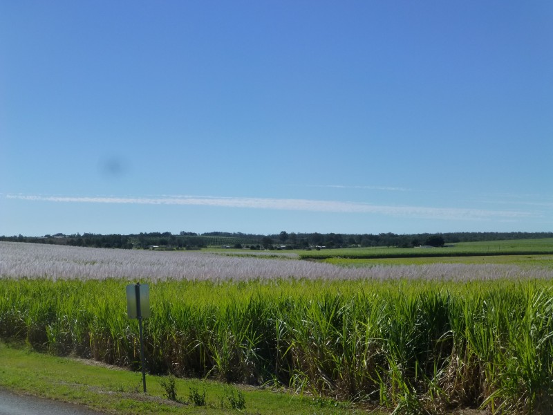 Doolbi QLD 4660