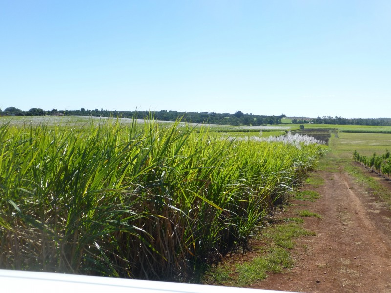 Doolbi QLD 4660