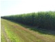 Doolbi QLD 4660