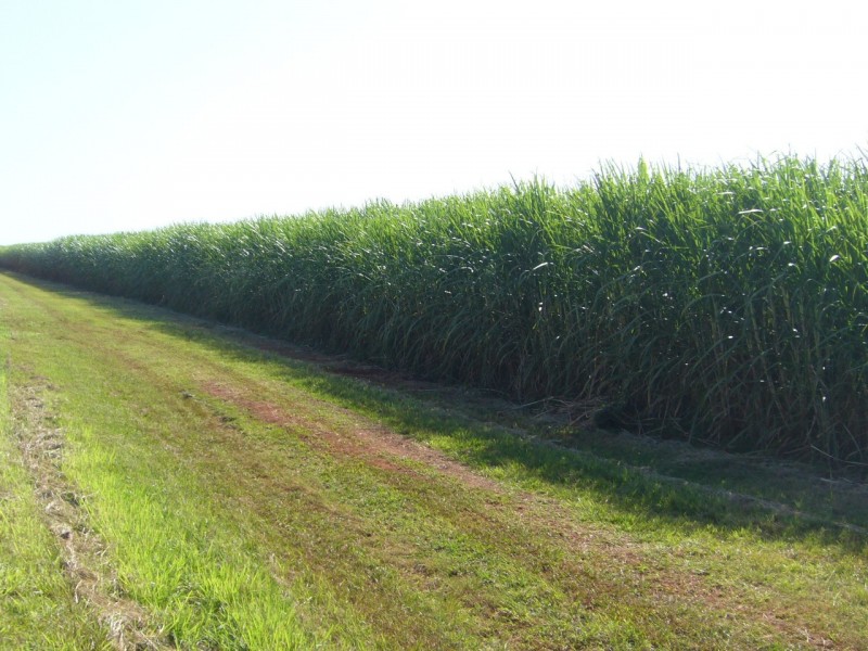 Doolbi QLD 4660