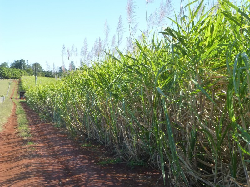 Doolbi QLD 4660