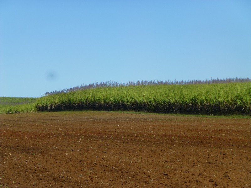 Doolbi QLD 4660