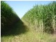 Doolbi QLD 4660