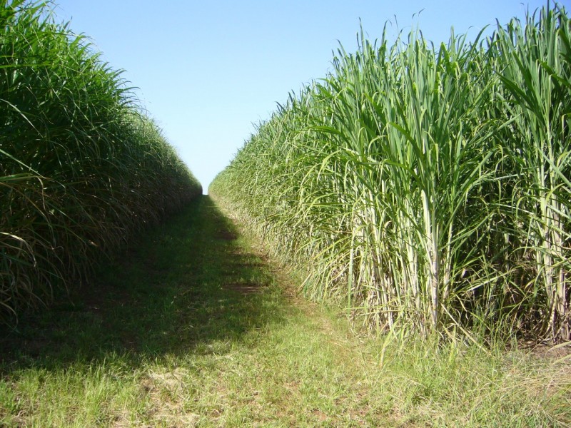 Doolbi QLD 4660