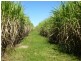 Doolbi QLD 4660