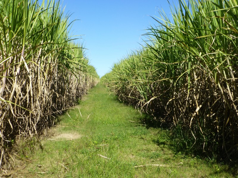 Doolbi QLD 4660