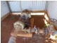 Doolbi QLD 4660