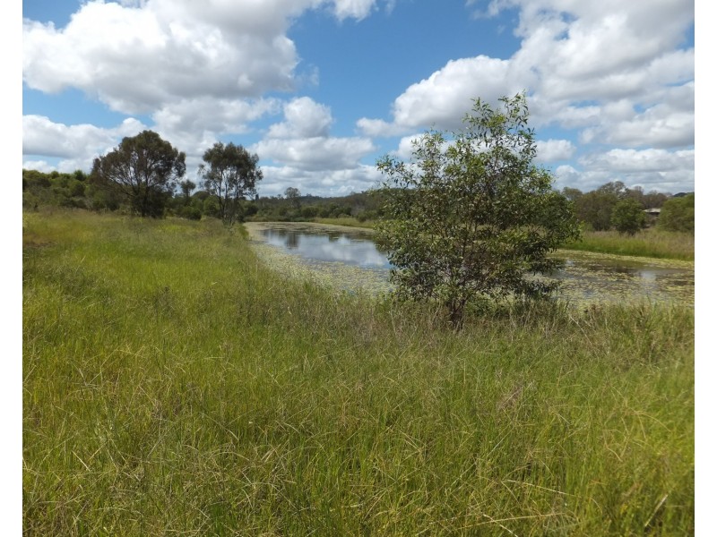 98 WHITEBRIDGE ROAD, North Isis QLD 4660