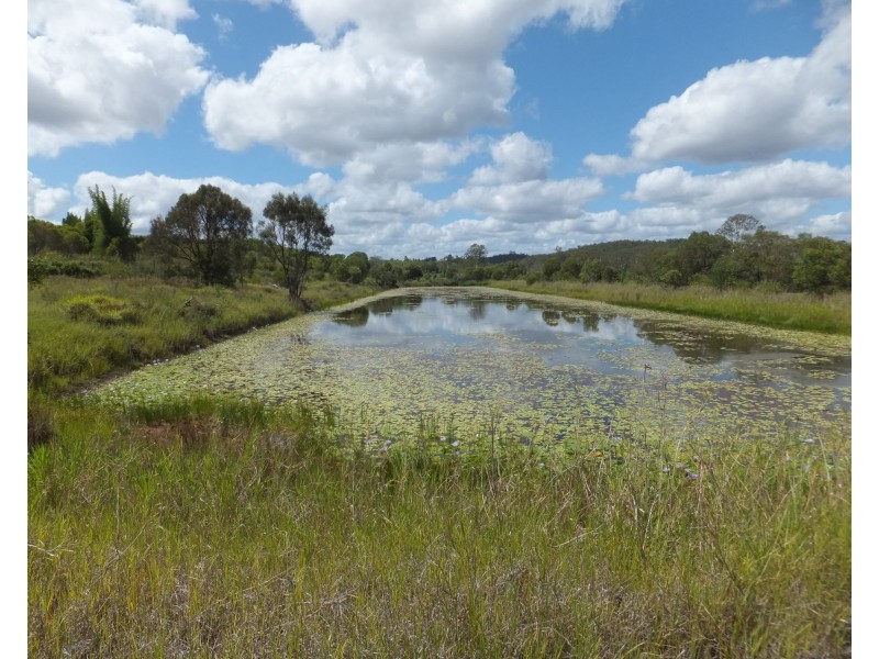 98 WHITEBRIDGE ROAD, North Isis QLD 4660