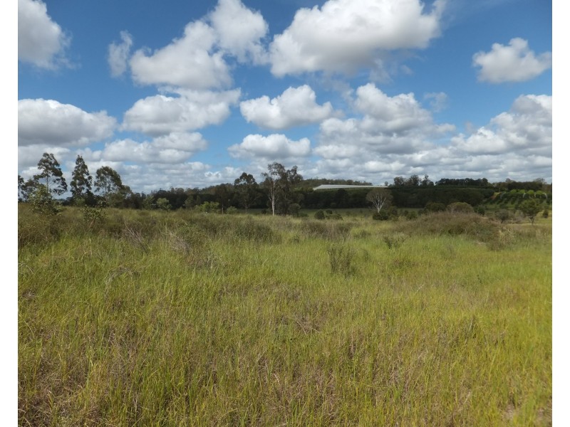 98 WHITEBRIDGE ROAD, North Isis QLD 4660