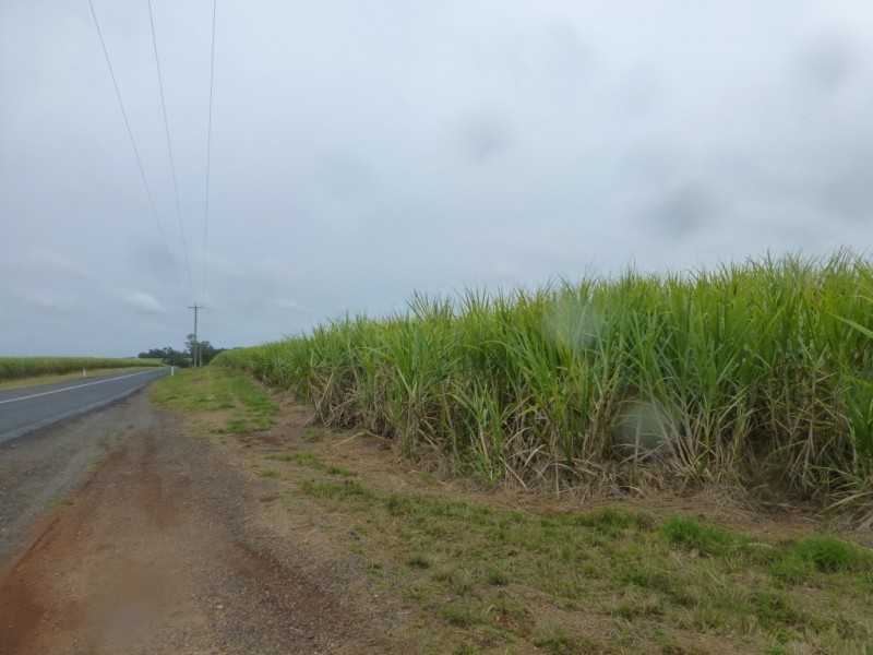 KEVIN LIVINGSTON DRIVE, Cordalba QLD 4660