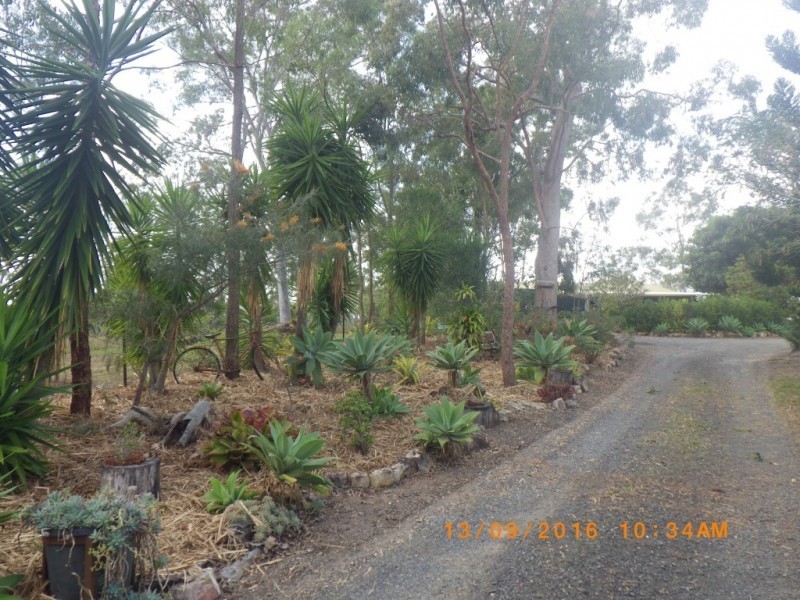 143 BUNNS ROAD, Apple Tree Creek QLD 4660