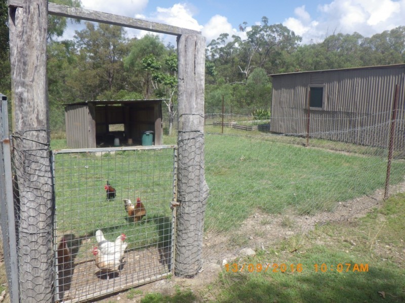 143 BUNNS ROAD, Apple Tree Creek QLD 4660