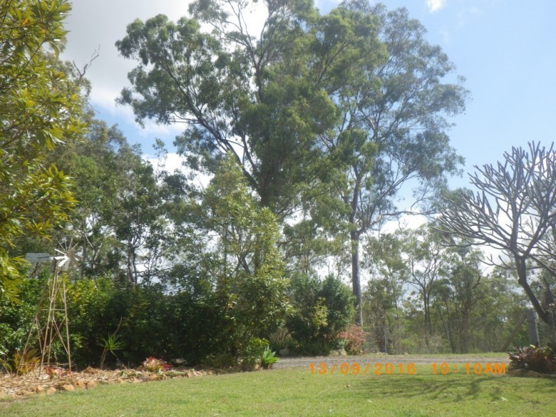 143 BUNNS ROAD, Apple Tree Creek QLD 4660