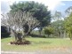 143 BUNNS ROAD, Apple Tree Creek QLD 4660