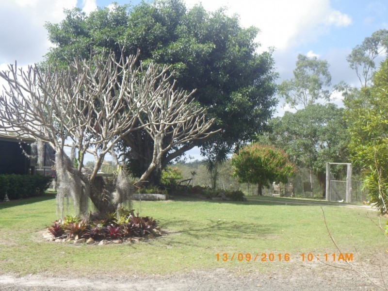 143 BUNNS ROAD, Apple Tree Creek QLD 4660