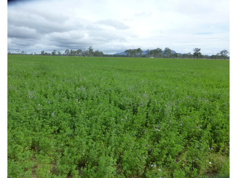 Lot 17,  OLD COACH ROAD, Degilbo QLD 4621