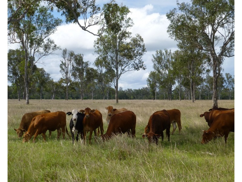 Lot 17,  OLD COACH ROAD, Degilbo QLD 4621