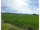Lot 17,  OLD COACH ROAD, Degilbo QLD 4621
