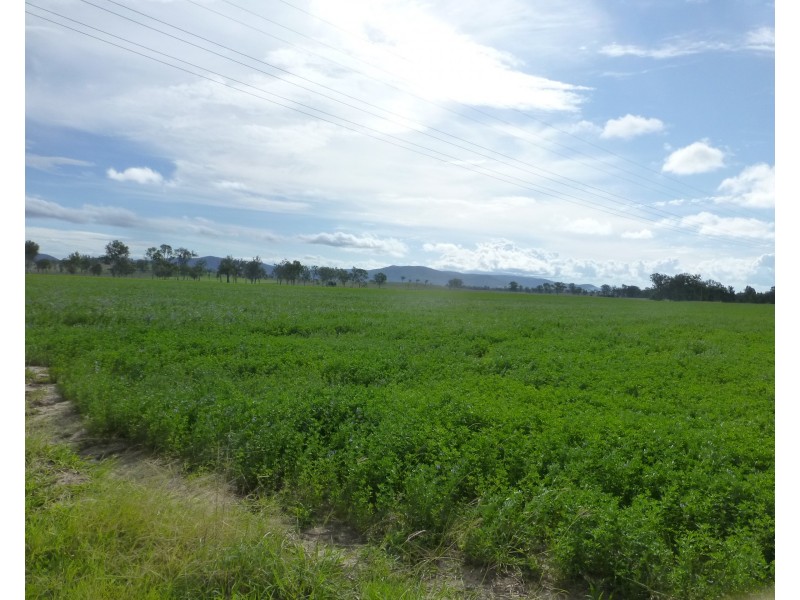 Lot 17,  OLD COACH ROAD, Degilbo QLD 4621