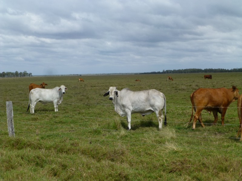 Maryborough QLD 4650