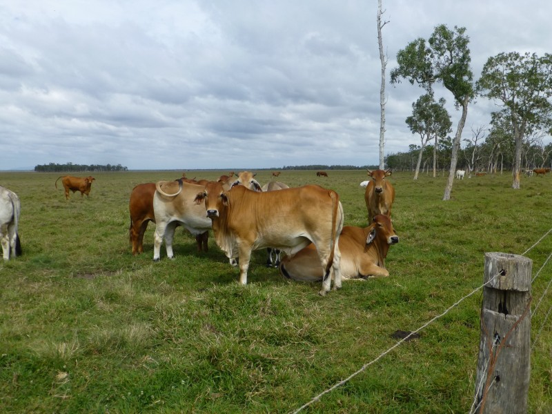 Maryborough QLD 4650